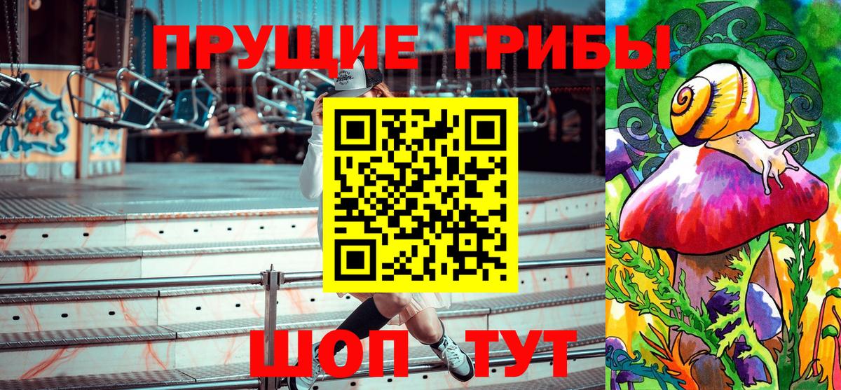 Псилоцибиновые грибы GOLDEN TEACHER Тверь